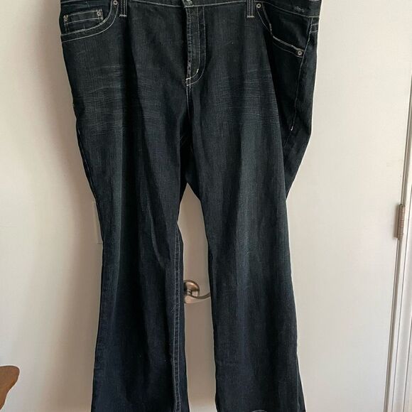 Karen Dane Denim Jeans, Size 22W - Picture 2 of 9